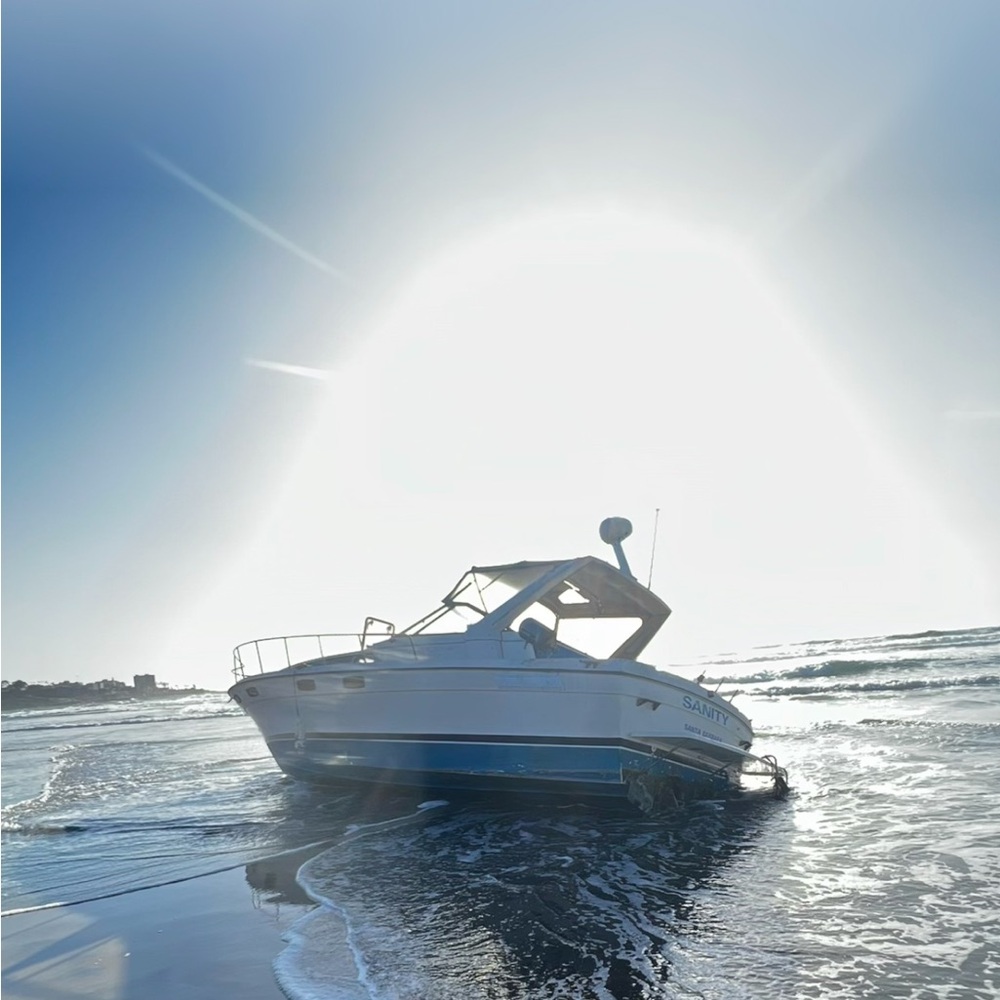 Meet your Posher, Izzie